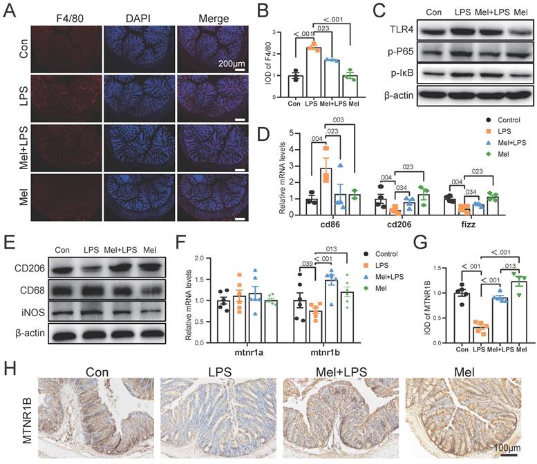 Int J Biol Sci Image