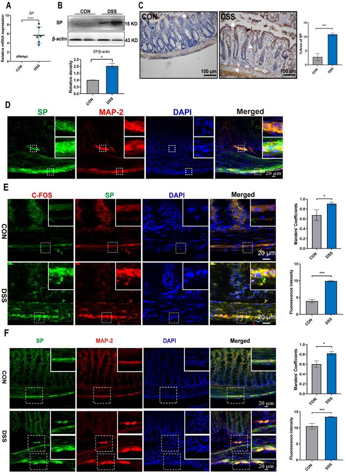 Int J Biol Sci Image