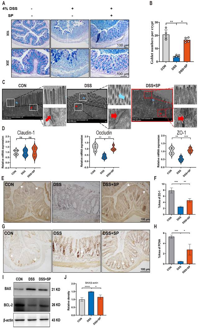 Int J Biol Sci Image