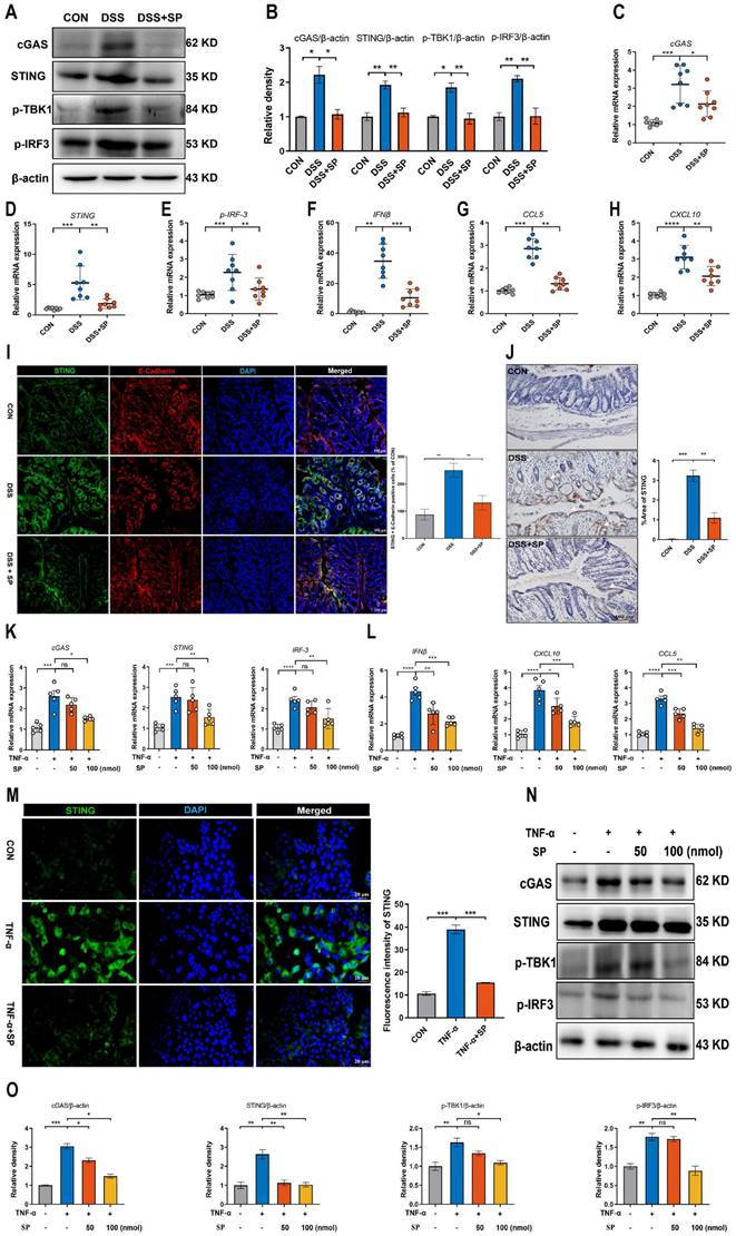 Int J Biol Sci Image