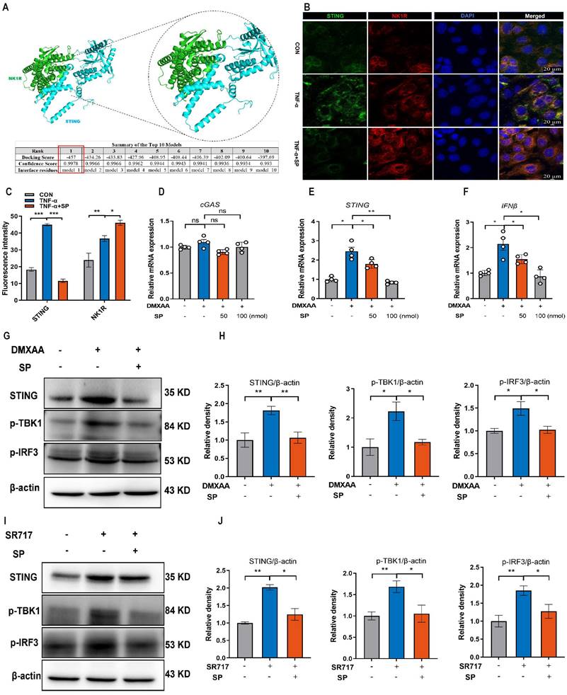 Int J Biol Sci Image