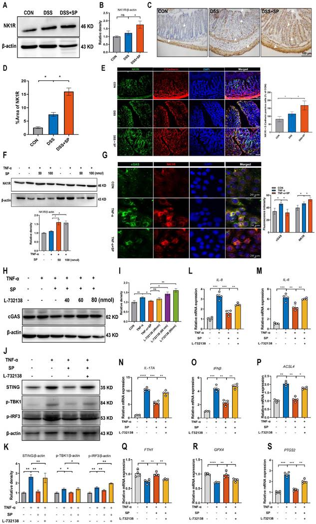 Int J Biol Sci Image