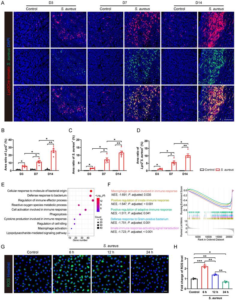 Int J Biol Sci Image