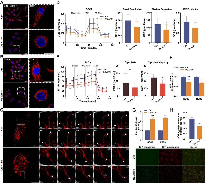 Int J Biol Sci Image