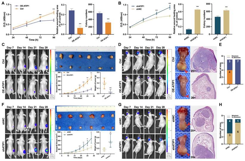 Int J Biol Sci Image