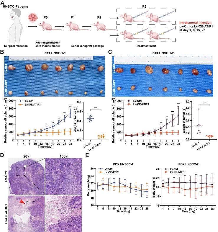 Int J Biol Sci Image