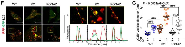 Int J Biol Sci Image