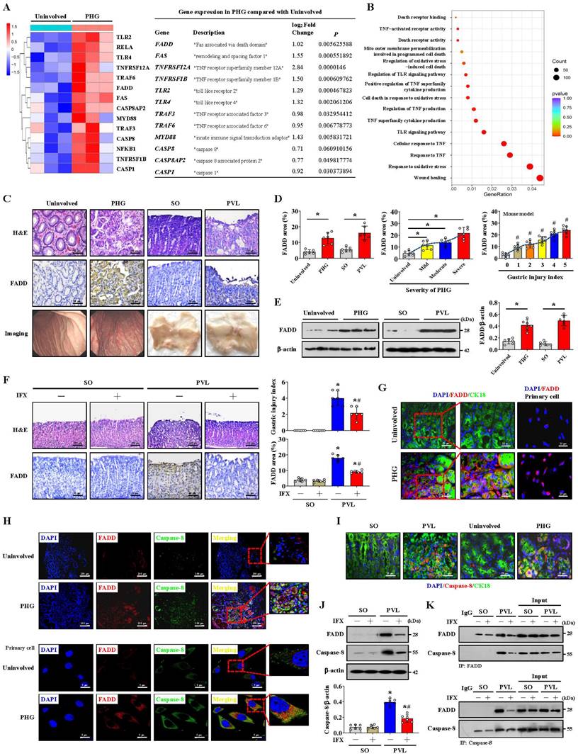 Int J Biol Sci Image