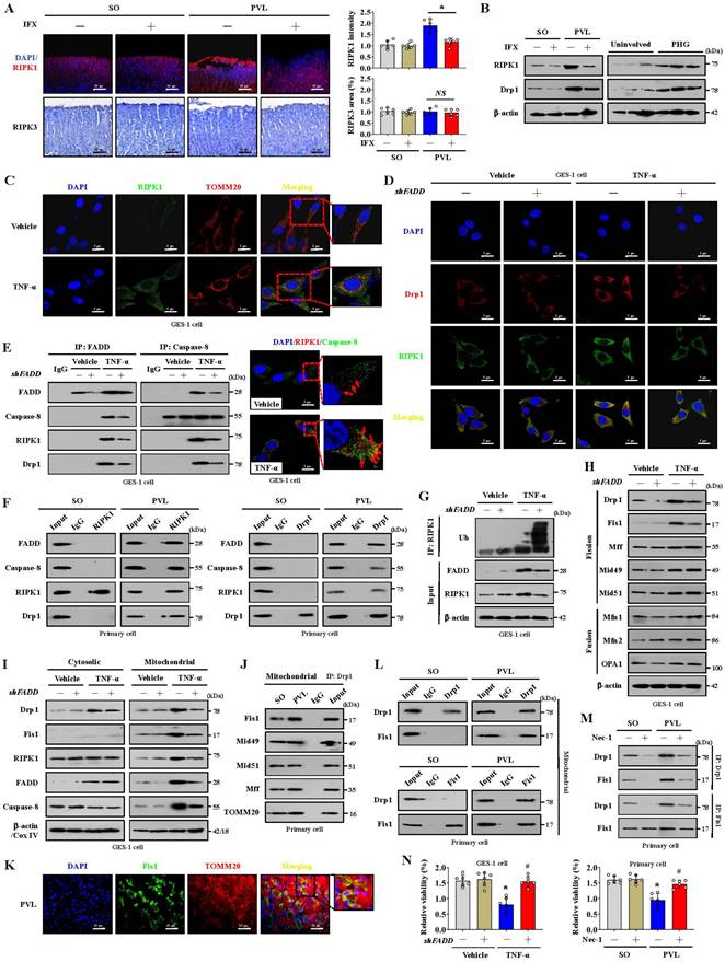 Int J Biol Sci Image