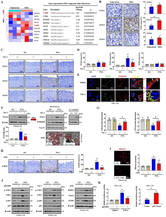 Int J Biol Sci Image