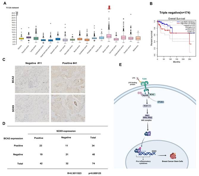 Int J Biol Sci Image