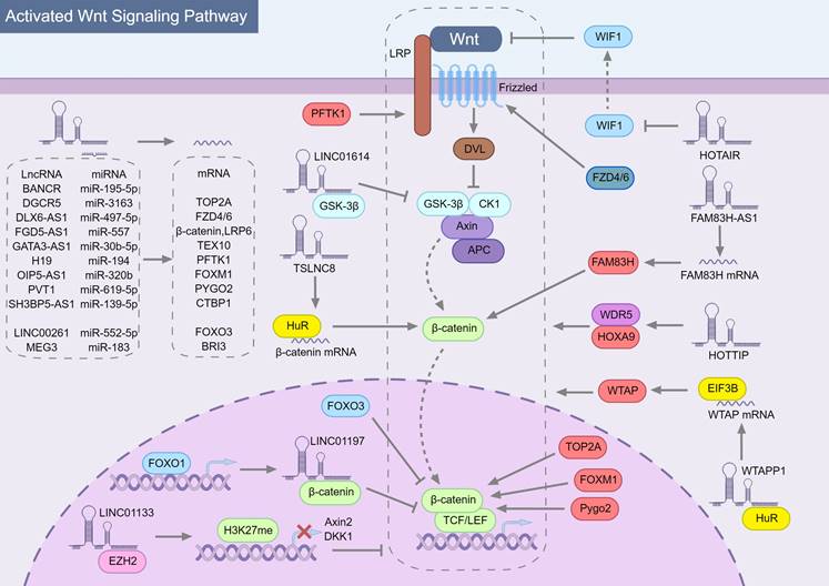 Int J Biol Sci Image