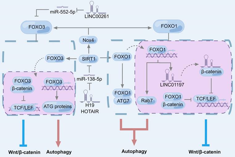 Int J Biol Sci Image