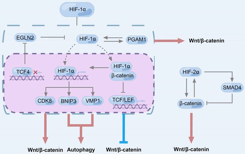 Int J Biol Sci Image