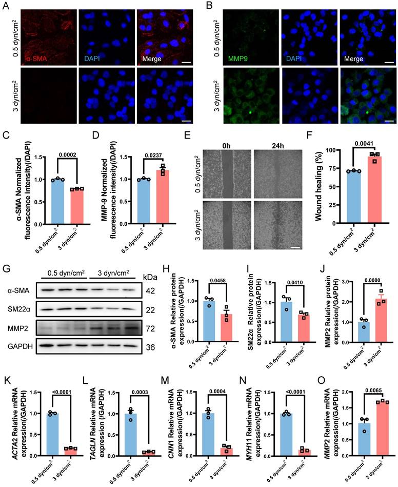 Int J Biol Sci Image