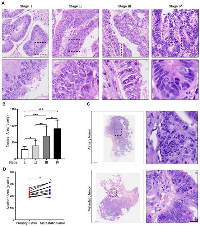 Int J Biol Sci Image