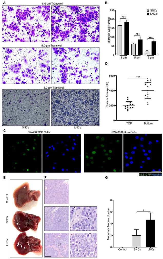 Int J Biol Sci Image