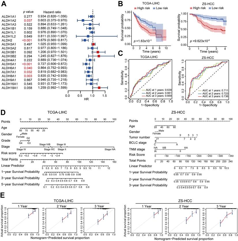 Int J Biol Sci Image