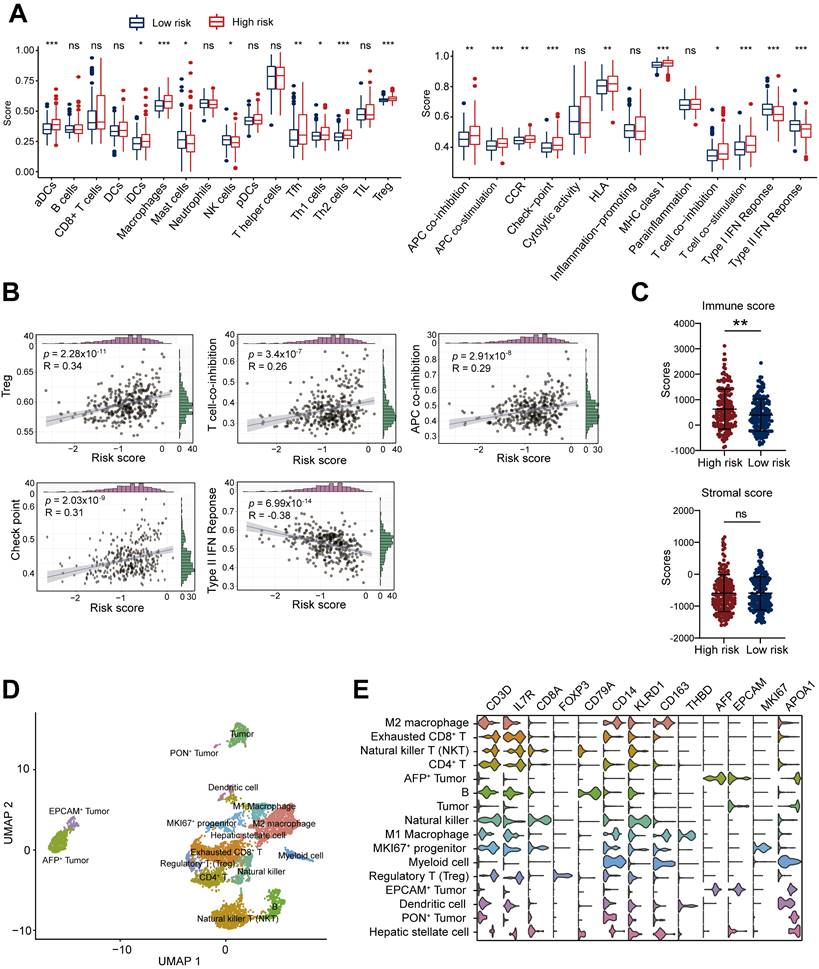 Int J Biol Sci Image