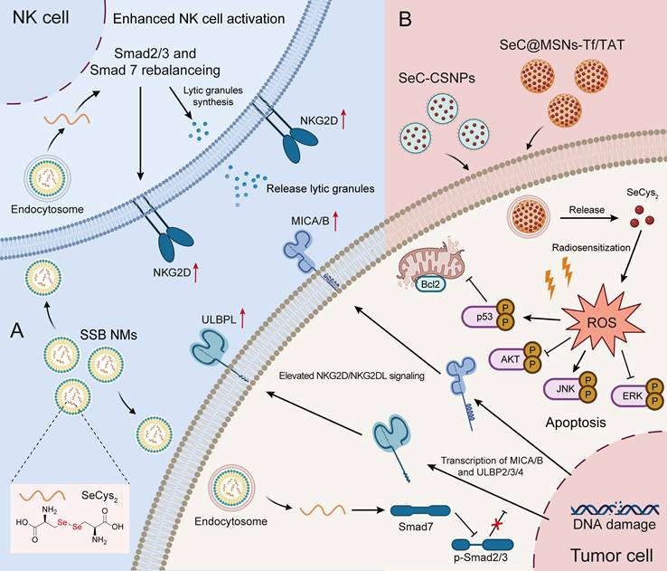 Int J Biol Sci Image