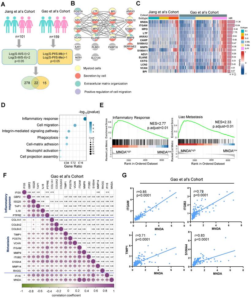 Int J Biol Sci Image