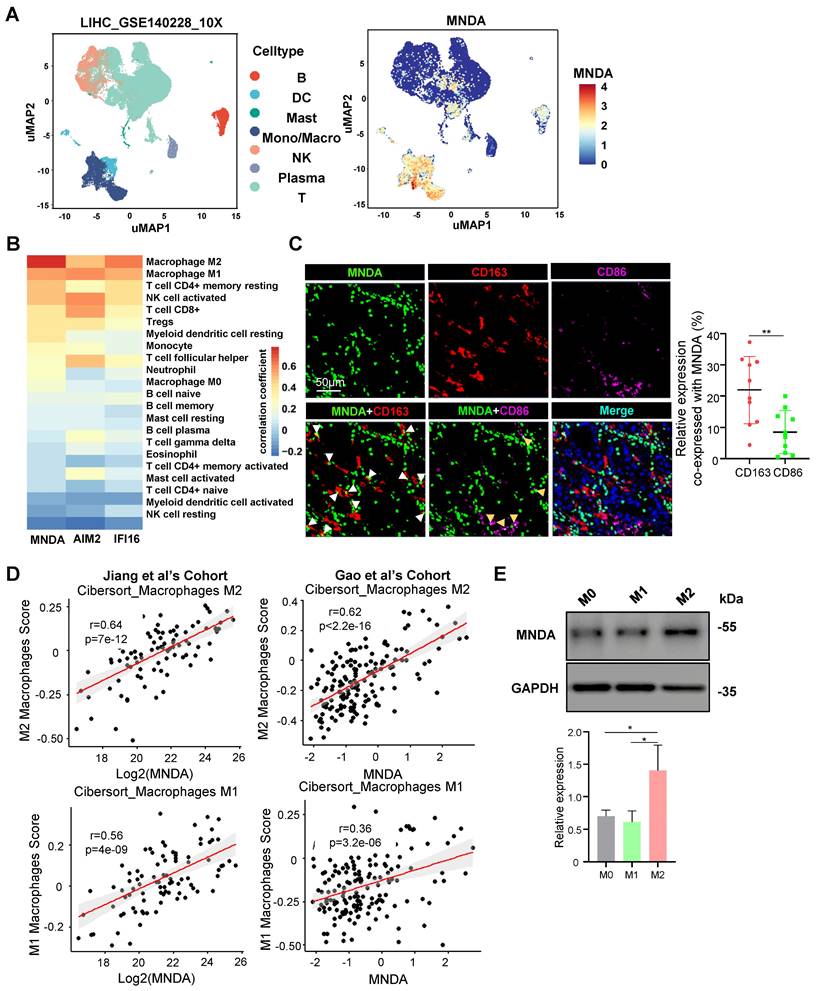 Int J Biol Sci Image