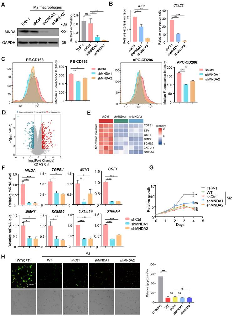 Int J Biol Sci Image