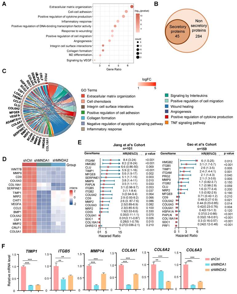 Int J Biol Sci Image