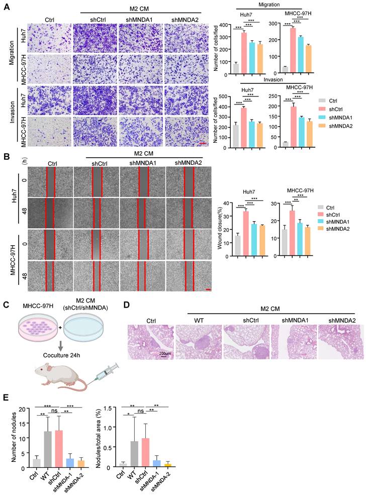 Int J Biol Sci Image