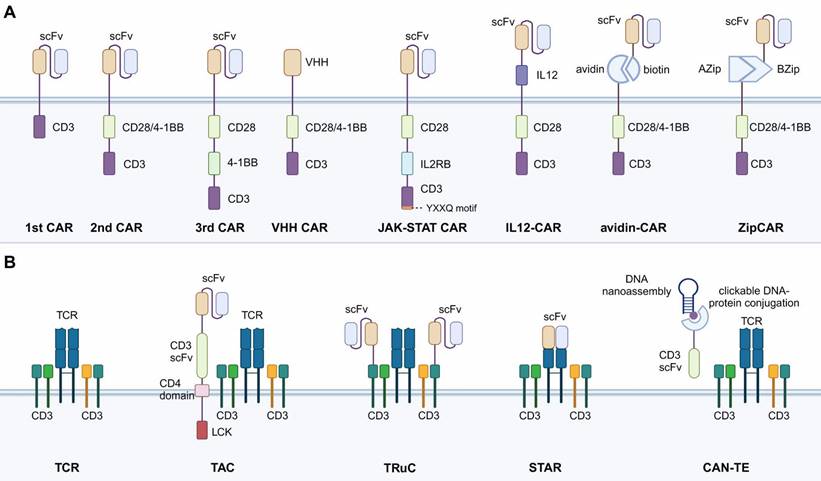 Int J Biol Sci Image