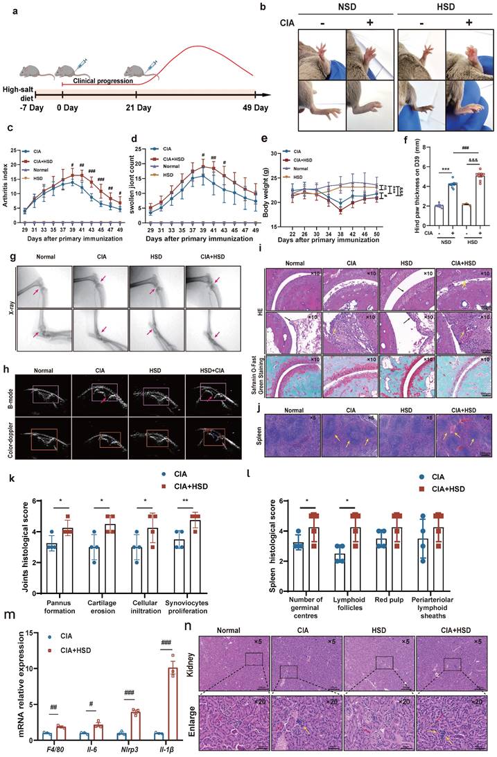 Int J Biol Sci Image
