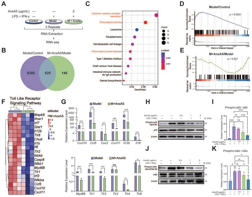 Int J Biol Sci Image
