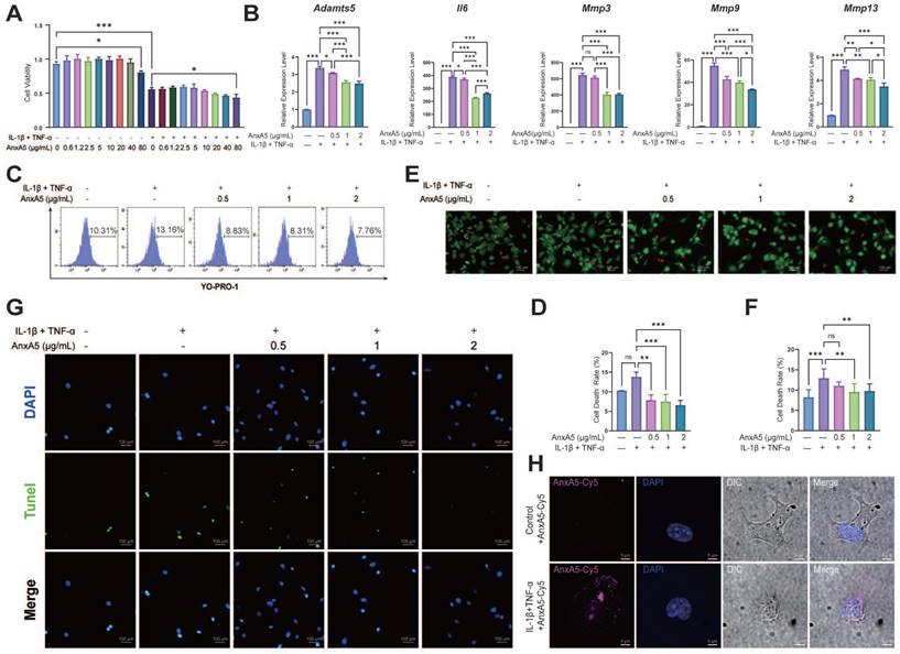Int J Biol Sci Image
