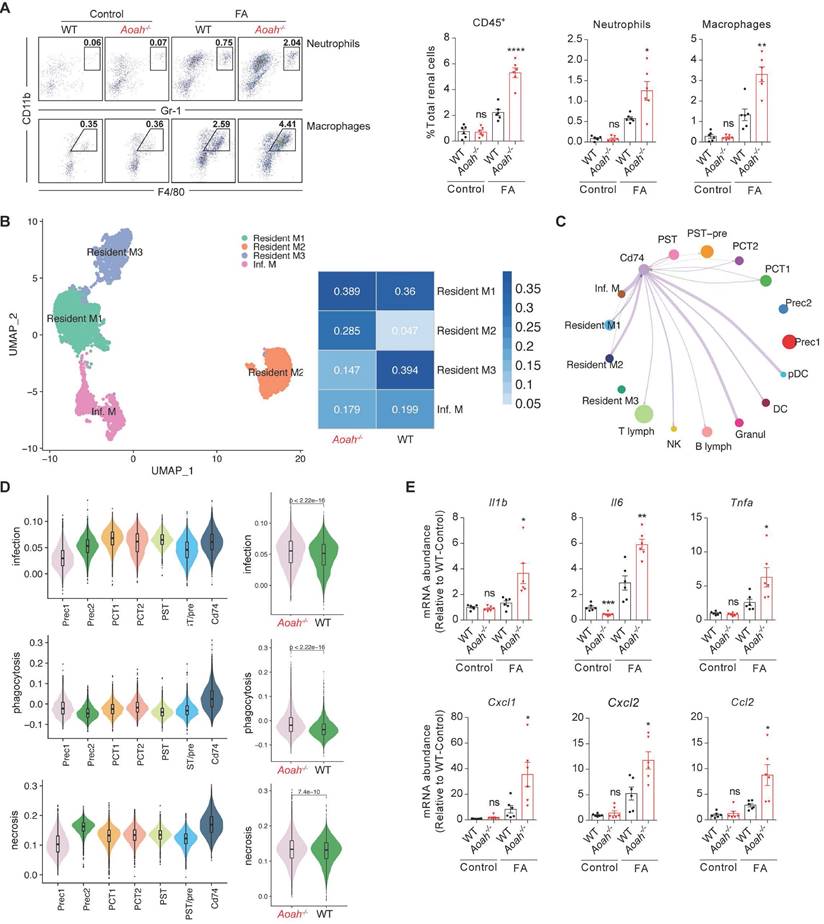 Int J Biol Sci Image