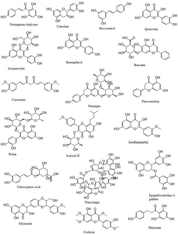 Int J Biol Sci Image