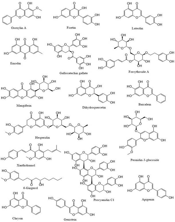 Int J Biol Sci Image