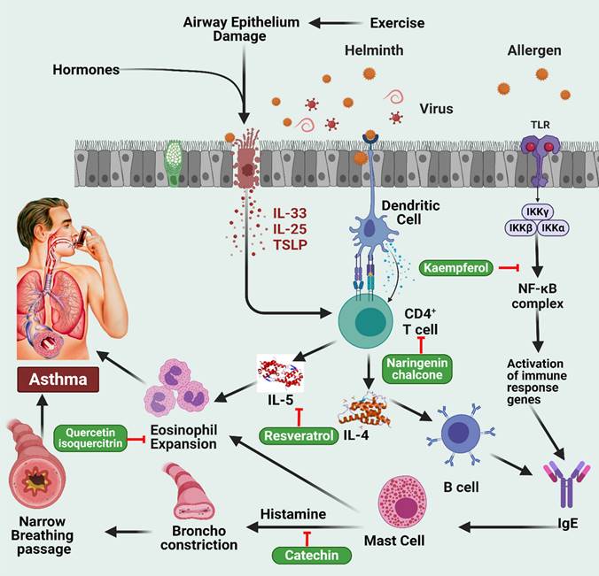 Int J Biol Sci Image