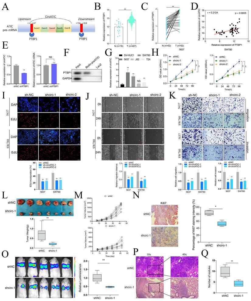 Int J Biol Sci Image