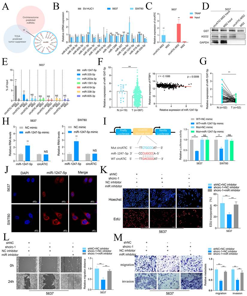 Int J Biol Sci Image
