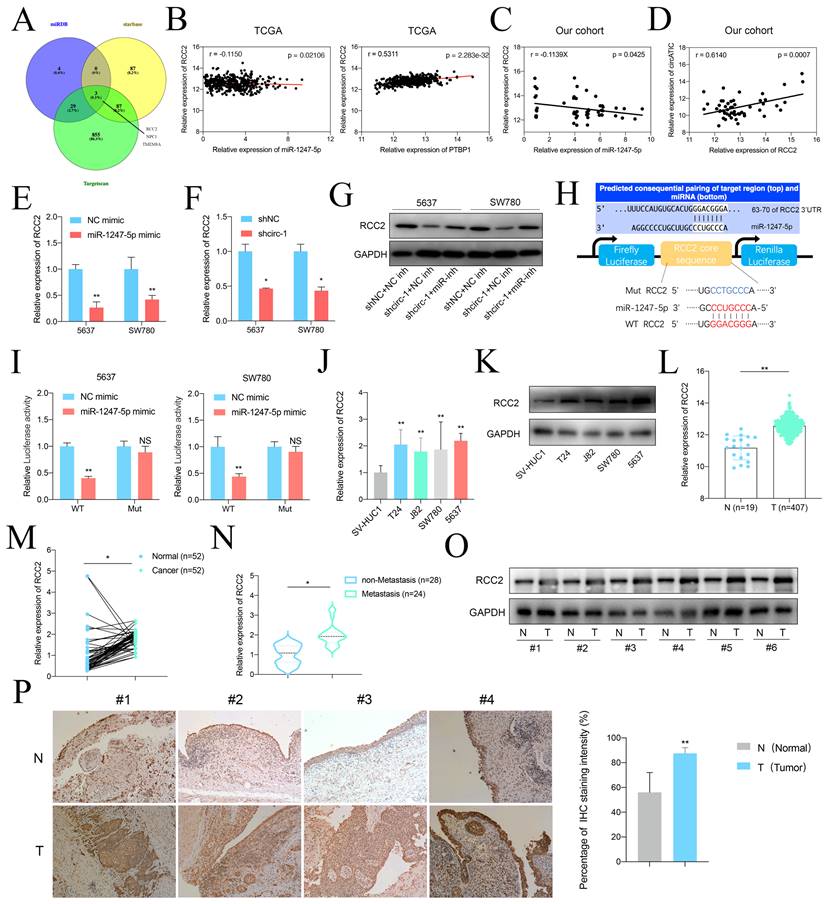 Int J Biol Sci Image