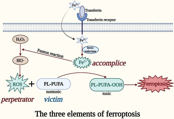 Int J Biol Sci Image