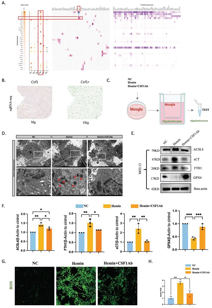 Int J Biol Sci Image