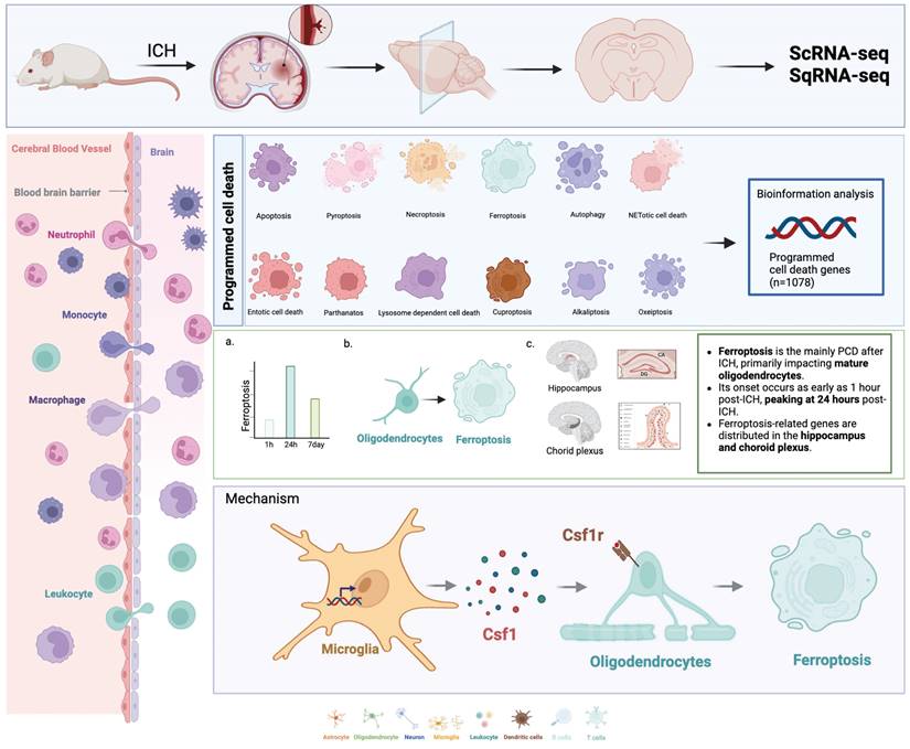 Int J Biol Sci Image
