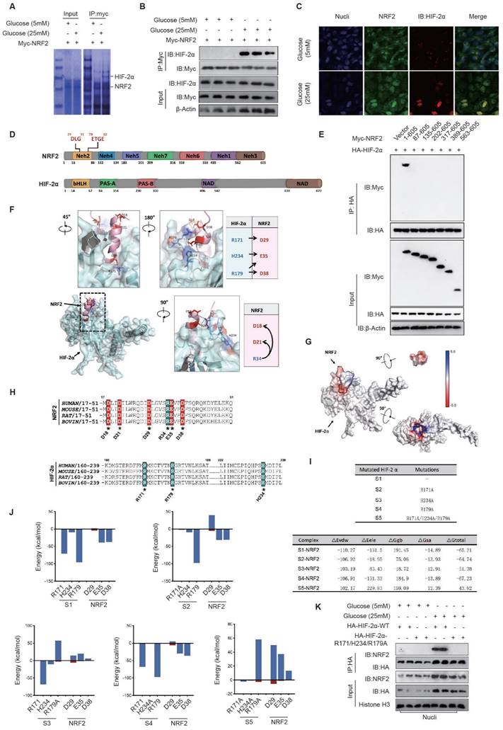 Int J Biol Sci Image