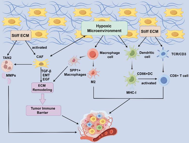 Int J Biol Sci Image