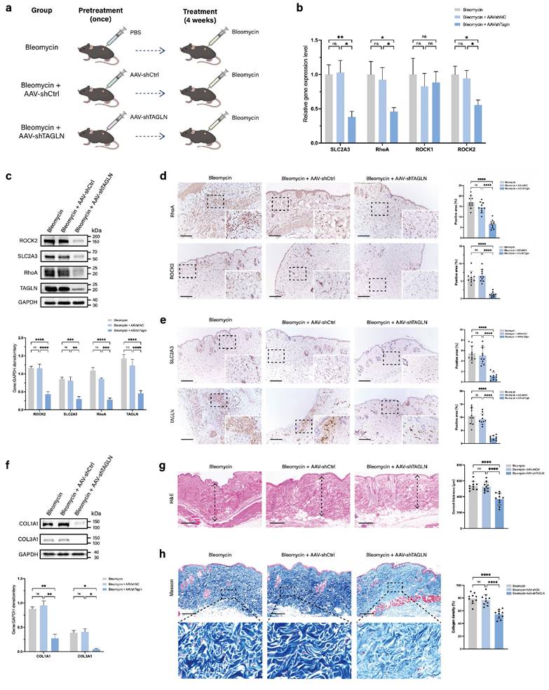 Int J Biol Sci Image