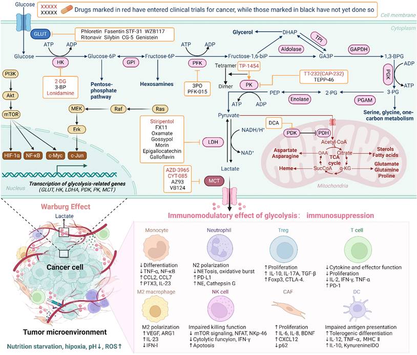 Int J Biol Sci Image
