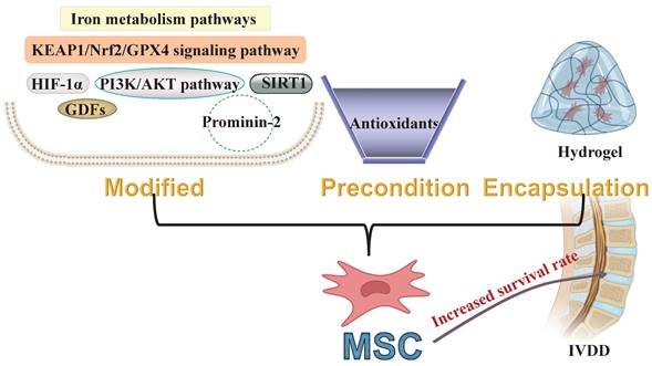 Int J Biol Sci Image