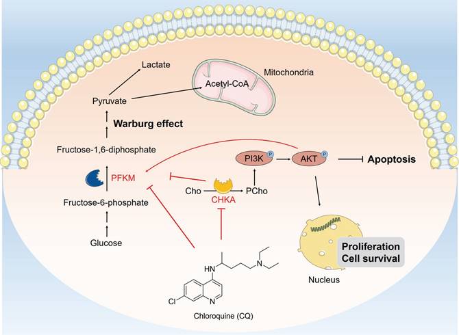 Int J Biol Sci Image