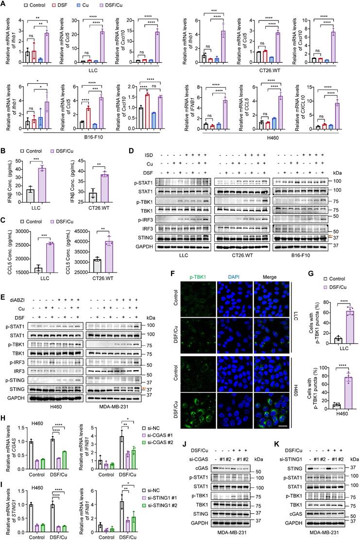 Int J Biol Sci Image